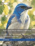 Bird Cross Stitch Pattern Collection: California Scrub Jay