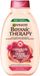 Garnier Botanic Therapy Shampoo Strengthens Brittle Hair Oil Castor And Almond 400Ml