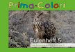 TimeTEX Uilenschrift 5