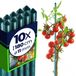 KADAX Support de fleurs, en acier, revêtu de plastique, tuteur, pour guider les plantes grimpantes, support de plantes résistant aux intempéries, tuteur de tomates, aide à la croissance avec crochets, 180 cm x 11 mm, set de 10 pièces