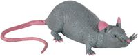 Johntoy Set Monde Animal Rat stretch 3 assorti. 3+