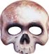 Widmann - Spook & Skelet Kostuum - Halloween Halfmask Kinloos Schedelmasker - Wit / Beige