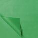 SendProof® Zijdevloeipapier 50 x 70 cm 100 vel vert clair