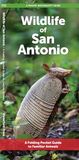 Wildlife Waterford Press Ltd Urban Wildlife- Wildlife of San Antonio