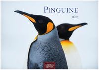 Pinguine Casares Fine Art Edition Pinguine Kalender 2027 - Wandkalender