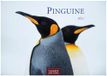 Pinguine Casares Fine Art Edition Pinguine Kalender 2027 - Wandkalender