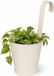 Pro Garden Bloempotje met haak - plantenbak zink met ophanghaak - wit - 20 x 13 x 26 cm
