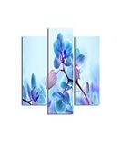 Homemania Wandafbeelding, 3 stuks, natuur, voor woonkamer, slaapkamer, meerkleurig, 57 x 0,3 x 60 cm, HM203MDF194, MDF