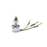 E-flite EFLM9615 motoren, meerkleurig