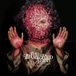 Suburban Prophecy Becomes Awake LP