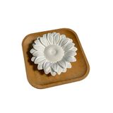 Aroflora - Astelia – diffuser Floral van capillaire wit - 3700471004213