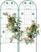 Relaxdays Plantenklimrek Set van 2 - 150 x 50 cm - Vrijstaand - IJzer