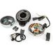 Motoforce Allumage Peugeot 103 12V avec bobine et CDI