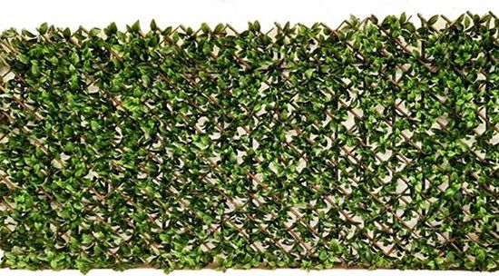 Buitengewoon Boet Buitengewoon de boet Willow Fence uitvouwbaar 100x200 cm