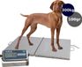 MyWeigh VHD-3 Balance pour animaux - 300kg - INOX
