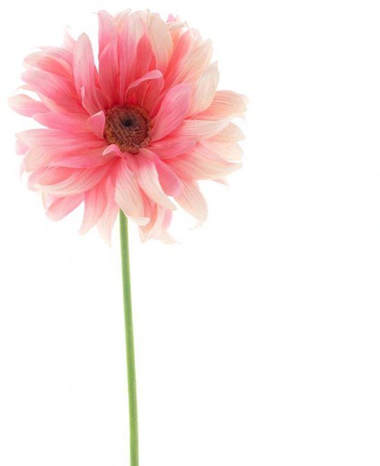 Erutan avon Gerbera spray Lotte pink 76 cm