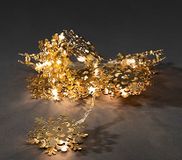 Konstsmide 3146-803 Decoratieve Verlichting 10 LED Goud