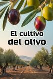 El cultivo del olivo: Una guía completa paso a paso sobre el cultivo de aceitunas