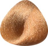 Toujours Trend Color 8.34 Light Golden Copper Blonde