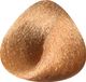Toujours Trend Color 8.34 Light Golden Copper Blonde