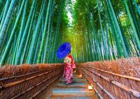 Enjoy Puzzle legpuzzel Asian Woman in Bamboo Forest - 1000 stukjes
