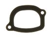 Icecat Joint, thermostat