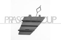 (B07MGHWHC5) Prasco MODANATURA GRIGLIA RADIATORE CROMATA