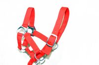 HKM Sports Equipment GmbH Sterk Halster voor Mini Pony - Maat 00 - Handgemaakt - neon/koraalrood