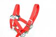 HKM Sports Equipment GmbH Sterk Halster voor Mini Pony - Maat 00 - Handgemaakt - neon/koraalrood