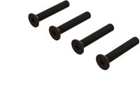 Horizon Flat Head Hex Machine Screw M4x24mm (4)