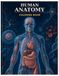 Human Anatomy Coloring Book