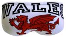 Turbo Dragon Zwemslip Wit 5-6 Ans Garçon