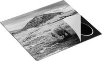Chefcare Inductie Beschermer Twee Schotse Hooglanders - Zwart Wit - 57,6x51,6 cm