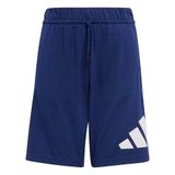 Adidas Essentials Big Logo Shorts Uniseks Kinderen