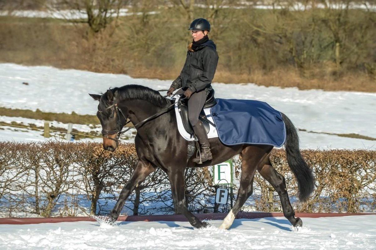 Bucas Quarter Sheet Nierdeken M Navy