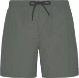 Protest Faster Zwemshort Heren Grey Green