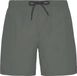 Protest Faster Zwemshort Heren Grey Green
