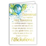 Afie 69-3050 Felicitatiekaart voor pasgeboren baby jongen meisje woorden in verguld met bijpassende kleur envelop gesloten kaartformaat 11,5 x 17 cm Made in France