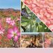 Yankee Candle Signature - Small Tumbler Desert Blooms