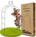 GoGarden - Pergola - Acier - Noir - 255cm