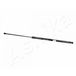 ASHIKA Gasfeder Motorhaubendämpfer 715mm für BMW 7 (E65, E66, E67) 160N ZSA01024