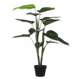 Mica Decorations Philodendron Kunstplant - H100x Ø70 cm - Groen