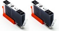 inktdag inktcartridge voor HP364XL photo black, hp364 photo zwart inktcartridges multipack van 2 stuks voor HP Photosmart 5510 ,5514, 5515 ,5520 ,5522 ,5524 ,5525 ,6510 ,6520 ,6525 ,7510, 7520 ,B109n , B110 ,B209a ,B210, B8550 ,C5380 ,C6380 ,D5460