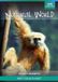 Natural BBC Earth - Natural World Collection - DVD