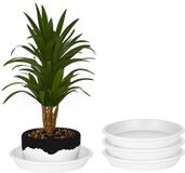 Juypal Hogar Juypal Plantenschotel - 3x - wit - kunststof - D20 cm