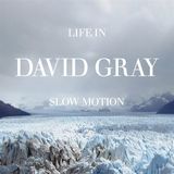 Life David Gray - Life In Slow Motion (LP) (20th Anniversary Edition)