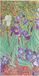 Paperblanks 12-Monatskalender 2024 Van Goghs Schwertlilien Schlank Verso Hardcover