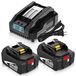 Batterie-set 18V, 2x 5Ah, avec chargeur, indicateur LED
