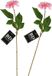 Bellatio Design Kunstbloem Dahlia - 2x - 50 cm - lichtroze