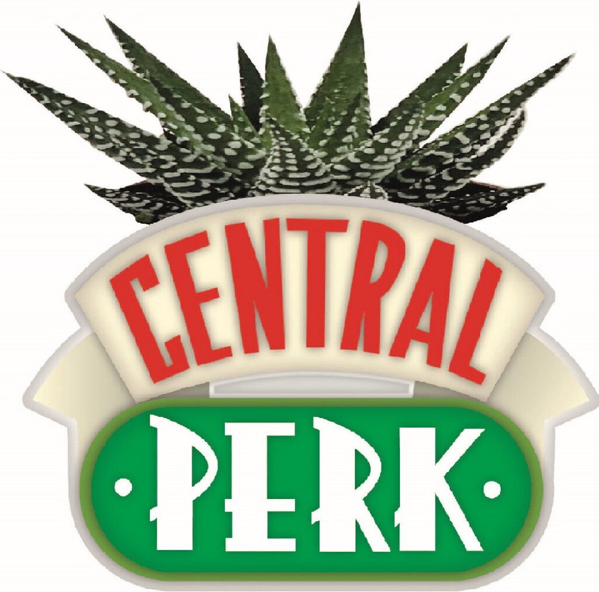 HMB Friends: Central Perk Plant Pot